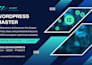 build, customize, redesign, and optimize your wordpress website or woocommerce
